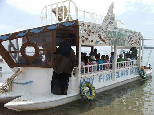 Glass boat trip_18