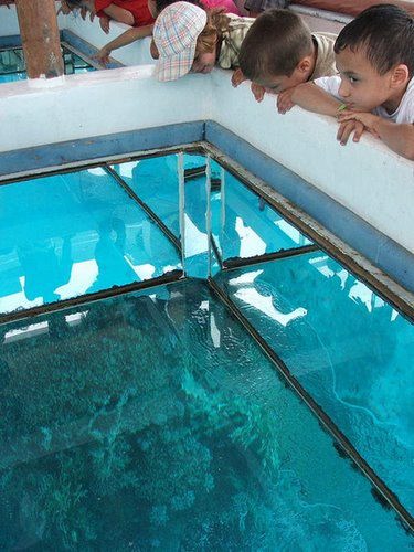 Glass boat trip_21
