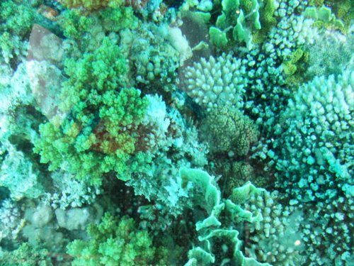 Glass boat trip 2_32