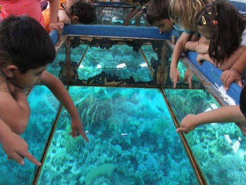 Glass boat trip 2_35