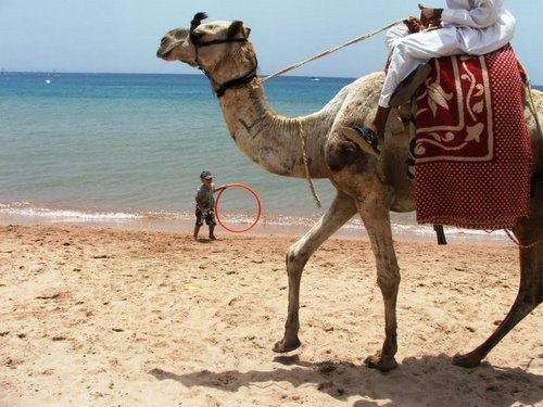 Glass boat trip 2_45