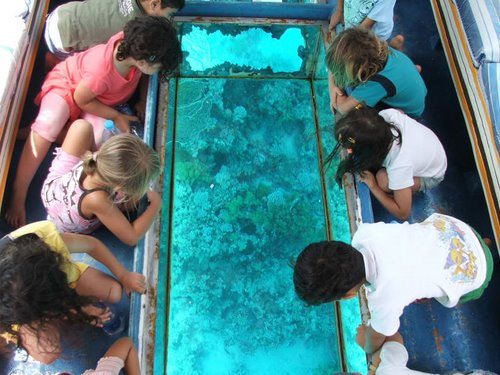 Glass boat trip 2_52